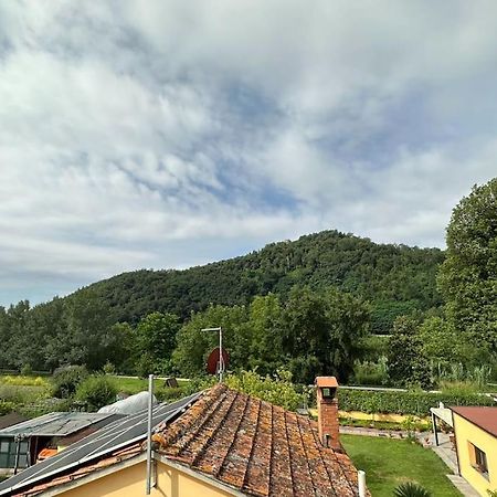 Nicola Apartment Lucca Exterior foto